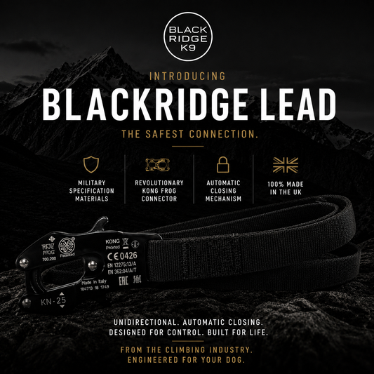Lead