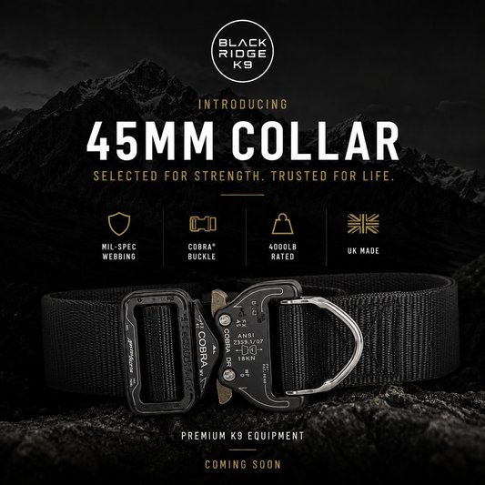 45mm Collar